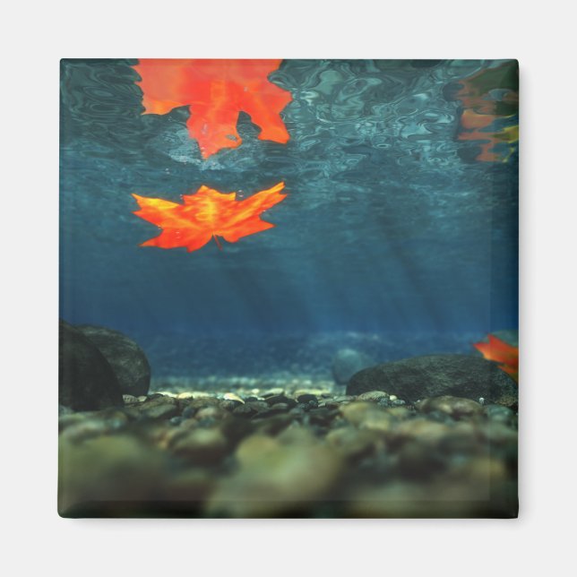 Flame in the Water Magnet (Front)