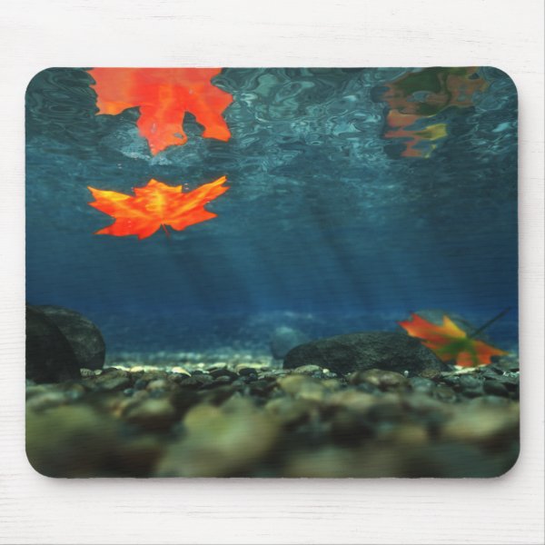 Flame in the Water Mousepad