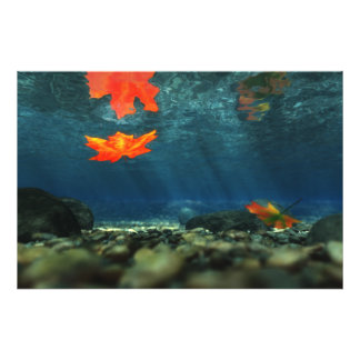 Flame in the Water Photo Print
