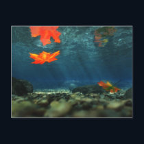 Flame in the Water Postcard