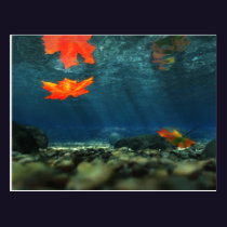 Flame in the Water Postcard