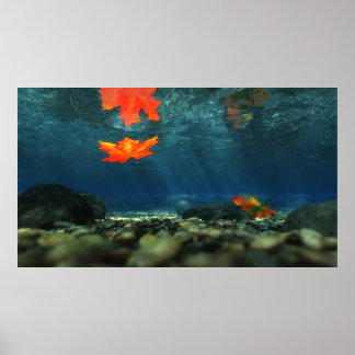 Flame in the Water Print