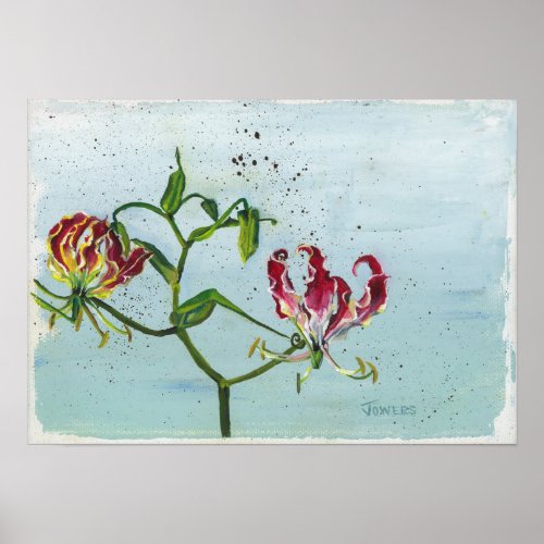 Flame Lily by Cheryl Jowers Poster