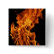 Flame