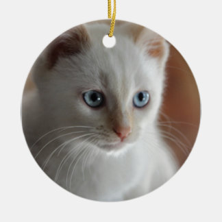 Flame Point Blue Eyes Ceramic Ornament