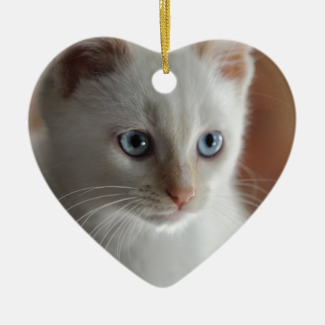 Flame Point Blue Eyes Ceramic Ornament (Front)