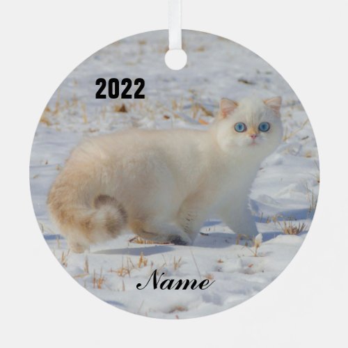 Flame Point Cat with Blue Eyes in the snow Metal Ornament