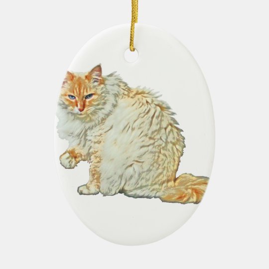 Flame Point Siamese Cat 2 Ceramic Ornament Zazzle Com