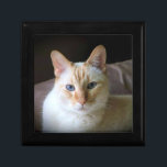 Flame Point Siamese Cat with Beautiful Blue Eyes Gift Box<br><div class="desc">Flame Point Siamese Cat with Beautiful Blue Eyes gift box</div>