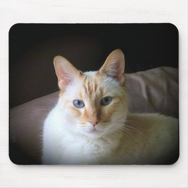 Flame Point Siamese Cat with Beautiful Blue Eyes Mouse Pad (Front)