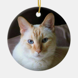 Flame Point Siamese Cat with Blue Eyes Ceramic Ornament