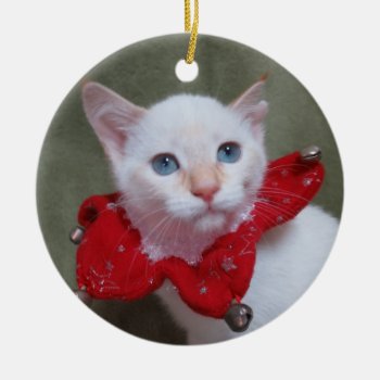 Flame Point Siamese Kitten Ornament by Melt_Your_Heart_MEOW at Zazzle