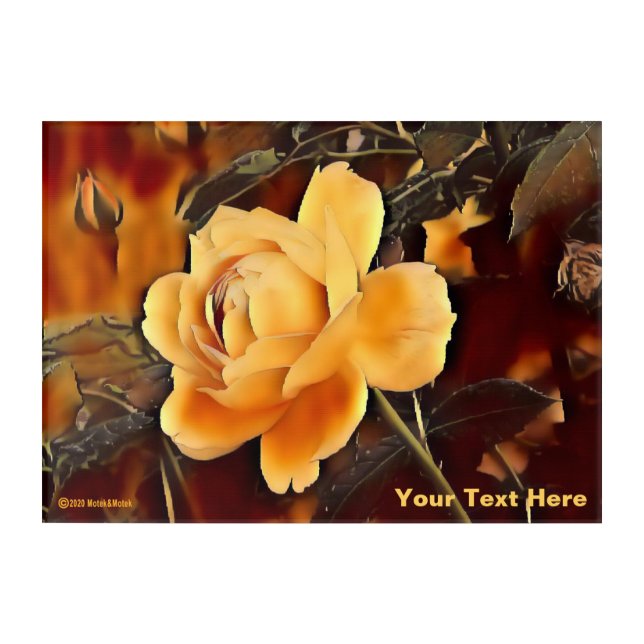 Flame Rose Acrylic Print (Front)