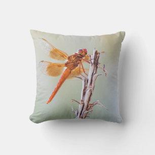 Flame Skimmer Dragonfly on Agave Throw Pillow