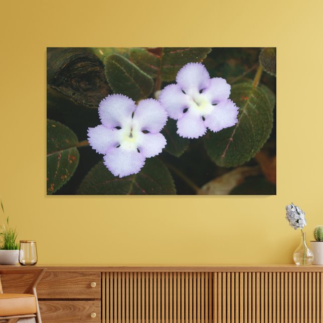 Flame Violet Tropical Wildflower Canvas Print (Insitu(LivingRoom))