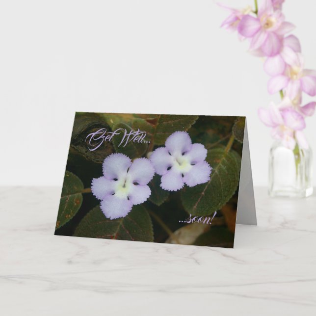 Flame Violet Tropical Wildflower Get Well Soon Card (Orchid)
