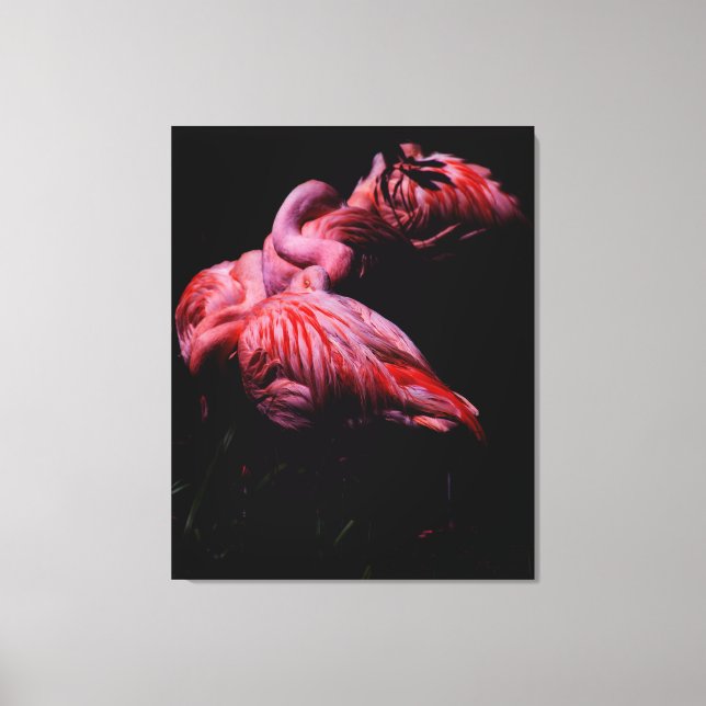 Flames in the Darkness Canvas Print (Front)