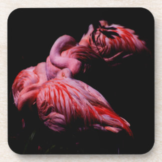 Flames in the Darkness Drink Coaster