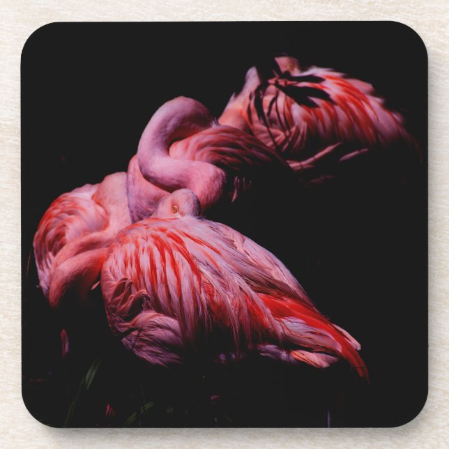 Flames in the Darkness Drink Coaster (Front)
