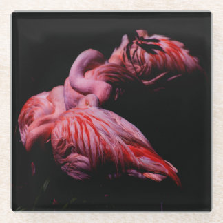 Flames in the Darkness Glass Coaster