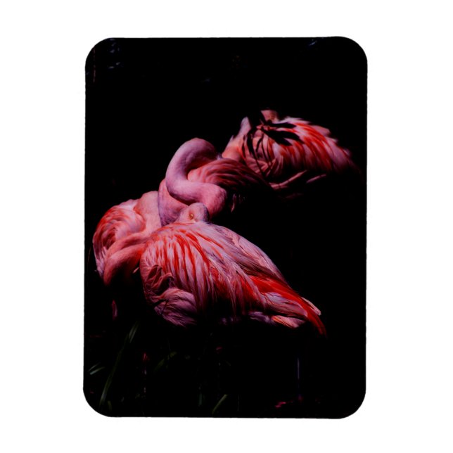 Flames in the Darkness Magnet (Vertical)
