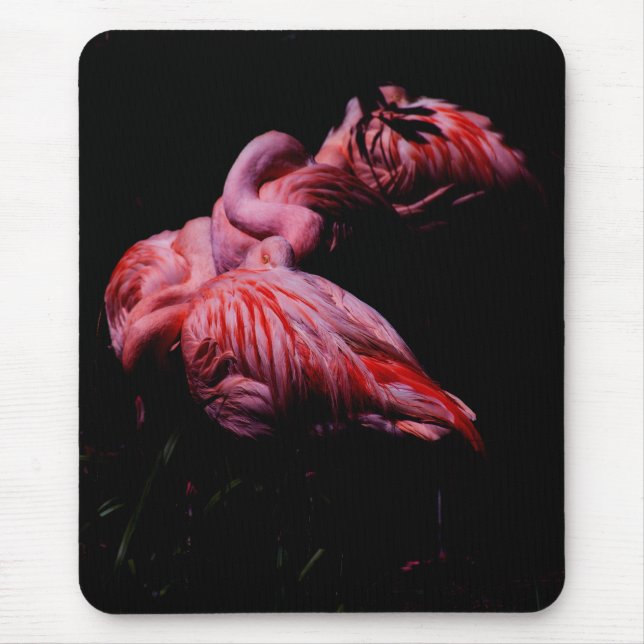 Flames in the Darkness Mouse Pad (Front)