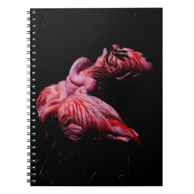 Flames in the Darkness Notebook (Front)