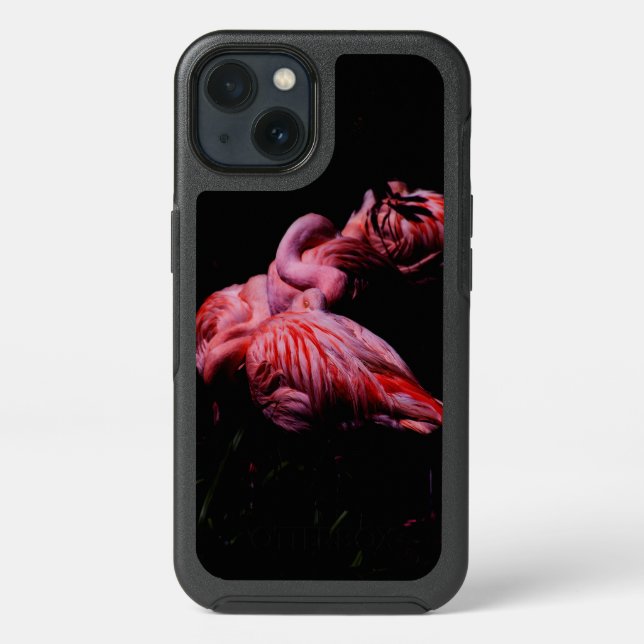 Flames in the Darkness Otterbox iPhone Case (Back)