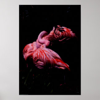 Flames in the Darkness Poster