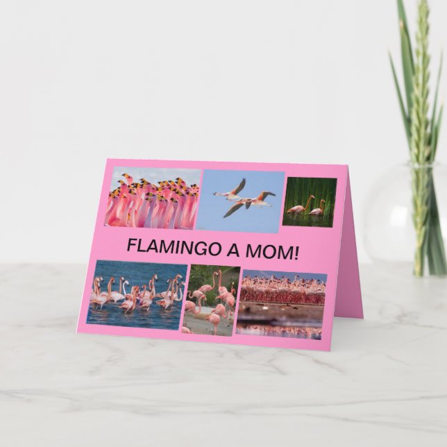 Flamigo a mom mothers day card (Front)
