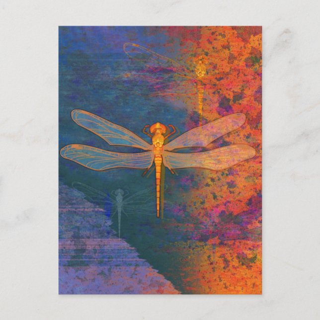 Flaming Dragonfly Postcard (Front)