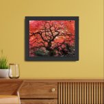 Flaming Gnarly Japanese Maple Tree Framed Art