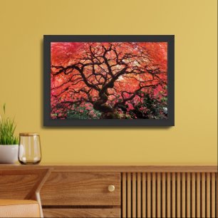 Flaming Gnarly Japanese Maple Tree Framed Art