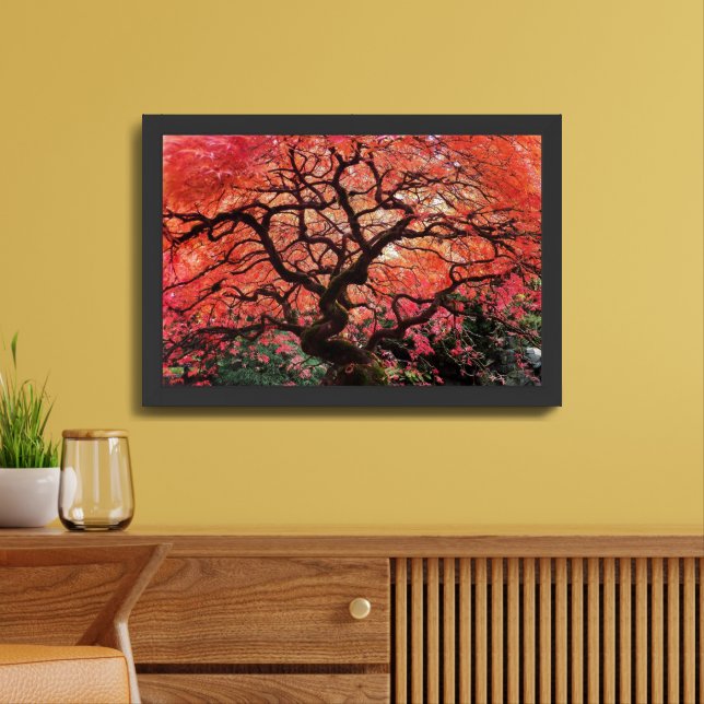 Flaming Gnarly Japanese Maple Tree Framed Art (Living Room)