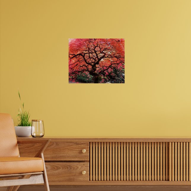 Flaming Gnarly Japanese Maple Tree Poster (Living Room 2)