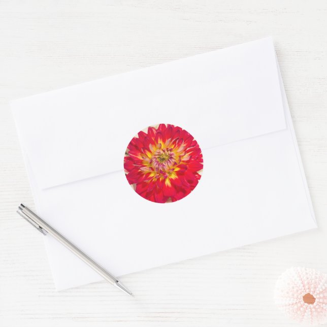 Flaming Red And Yellow Dahlia Sticker (Envelope)
