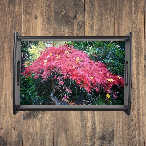 Flaming Red Japanese Maple Leaves Serving Tray