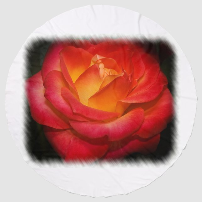 Flaming Red Rose  Beach Towel (Front)