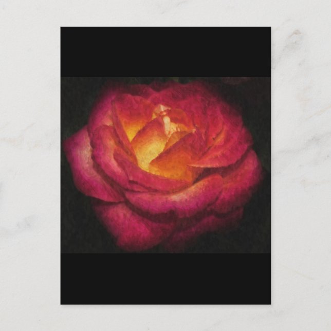 Flaming Rose Oil Painting Postcard (Front)