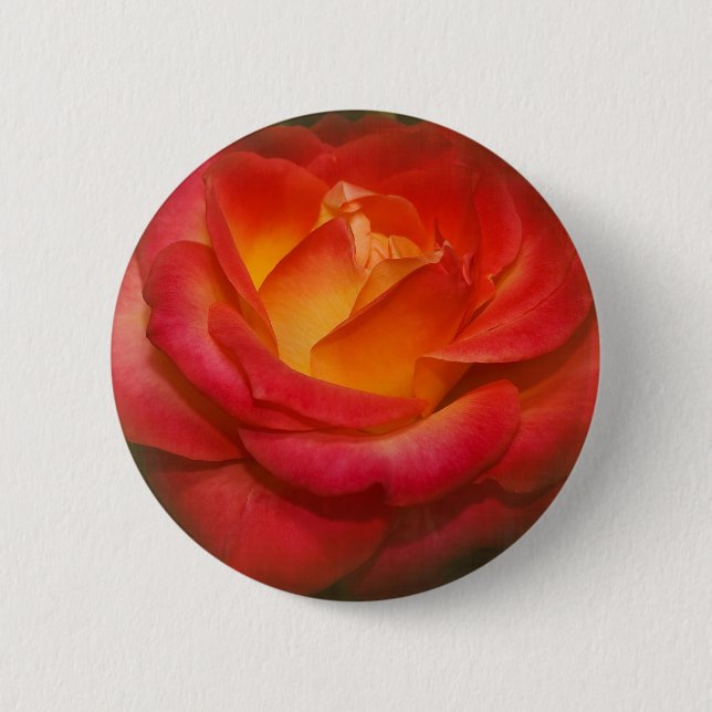 Flaming Rose on Parchment Button (Front)