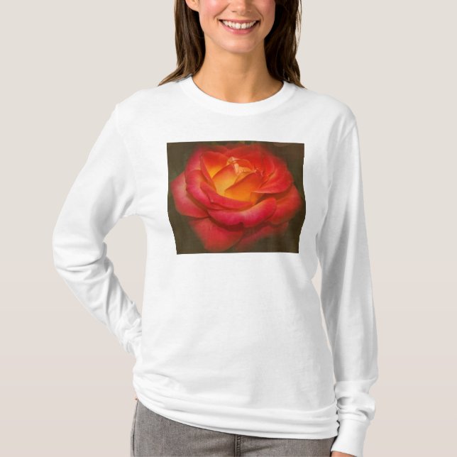 Flaming Rose on Parchment T-Shirt (Front)