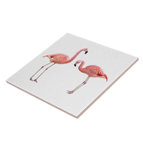 flamingoの優良製品 tile