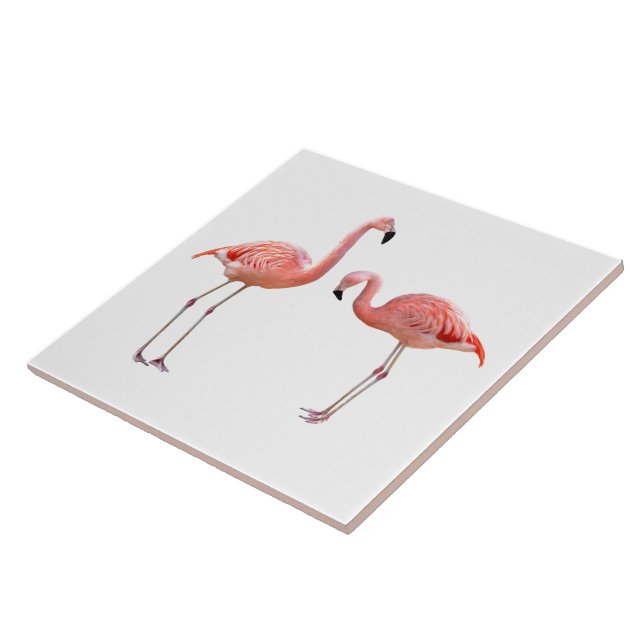 “flamingo”の優良製品 tile (Side)