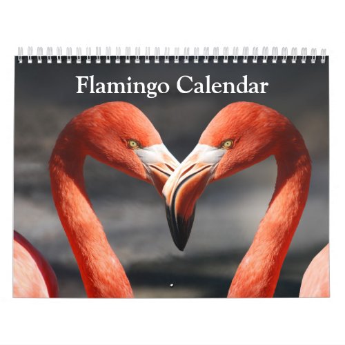 Flamingo 2024 calendar