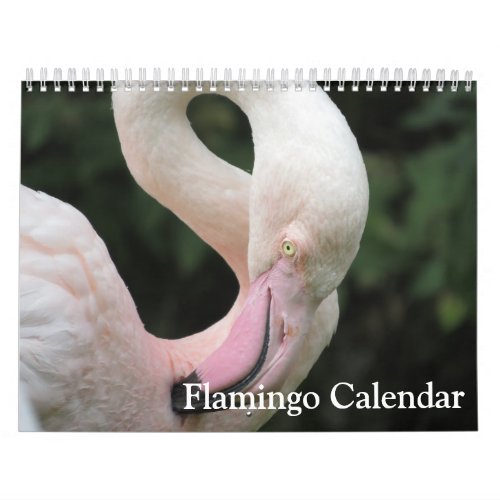 Flamingo 2024 calendar