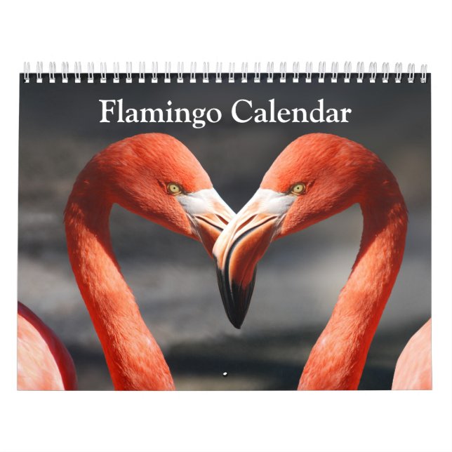 Flamingo 2026 calendar (Cover)