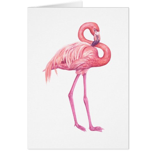 Flamingo 2 cards (Front)