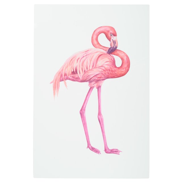 Flamingo 2 metal print (Front)