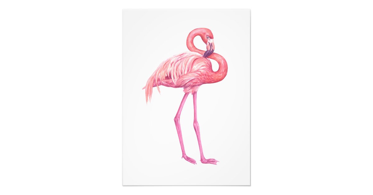 Flamingo Prints