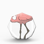 Flamingo #7 award<br><div class="desc">Acrylic Octagon Awards</div>